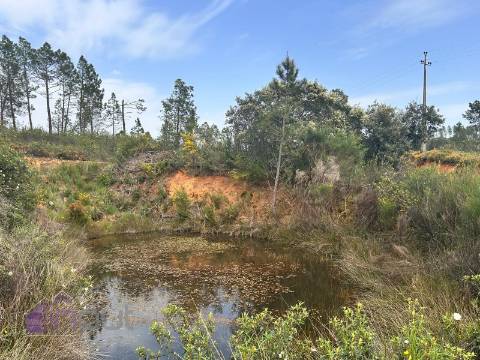 Terreno  Venda em Sarzedas,Castelo Branco