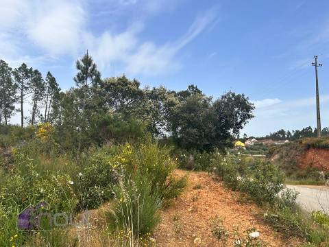 Terreno  Venda em Sarzedas,Castelo Branco