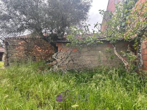 Moradia T1 Venda em Sarzedas,Castelo Branco