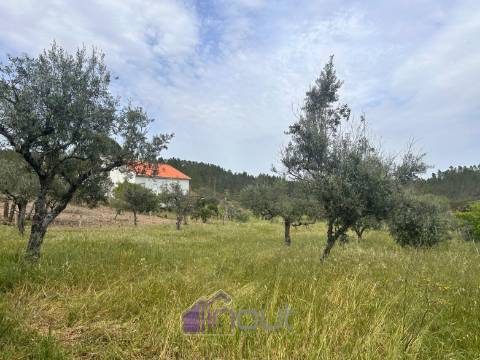 Moradia T1 Venda em Sarzedas,Castelo Branco