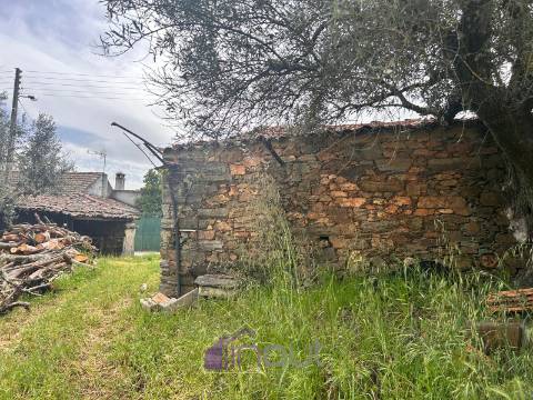 Moradia T1 Venda em Sarzedas,Castelo Branco