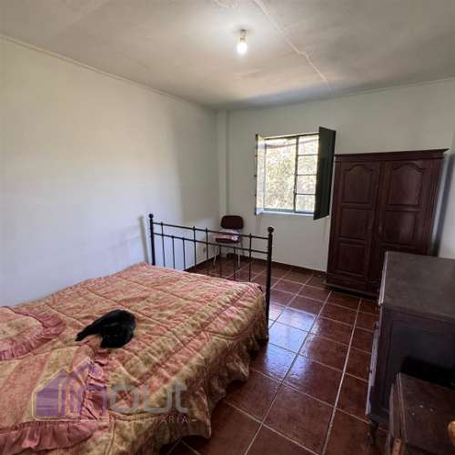 Quinta T2 Venda em Castelo Branco,Castelo Branco