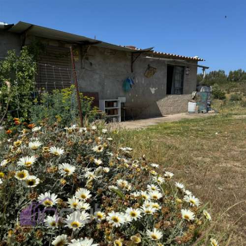 Quinta T2 Venda em Castelo Branco,Castelo Branco