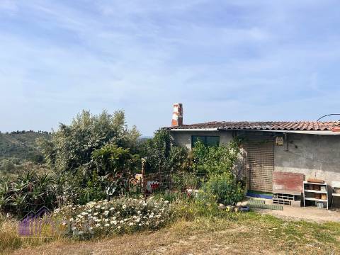 Quinta T2 Venda em Castelo Branco,Castelo Branco