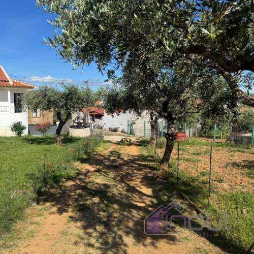Quinta T2 Venda em Ninho do Açor e Sobral do Campo,Castelo Branco