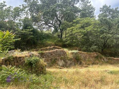 Quinta T1 Venda em Castelo Branco,Castelo Branco