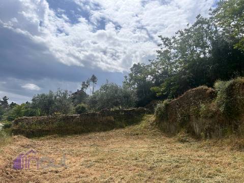 Quinta T1 Venda em Castelo Branco,Castelo Branco