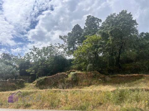 Quinta T1 Venda em Castelo Branco,Castelo Branco
