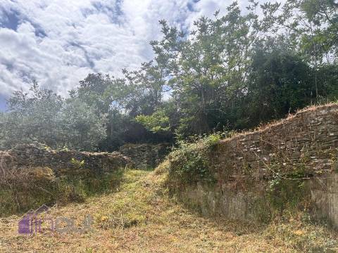 Quinta T1 Venda em Castelo Branco,Castelo Branco