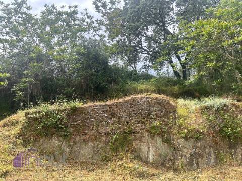 Quinta T1 Venda em Castelo Branco,Castelo Branco