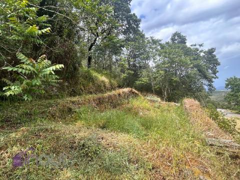 Quinta T1 Venda em Castelo Branco,Castelo Branco