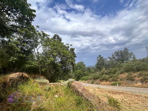 Quinta T1 Venda em Castelo Branco,Castelo Branco
