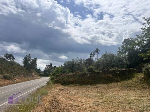 Quinta T1 Venda em Castelo Branco,Castelo Branco