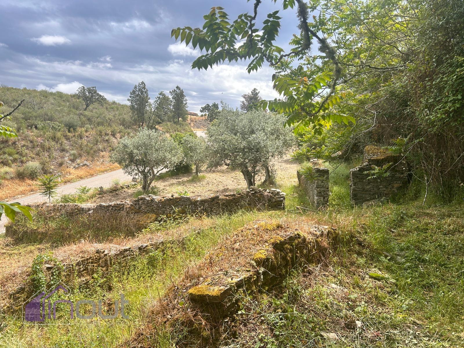 Quinta T1 Venda em Castelo Branco,Castelo Branco