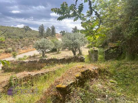 Quinta T1 Venda em Castelo Branco,Castelo Branco