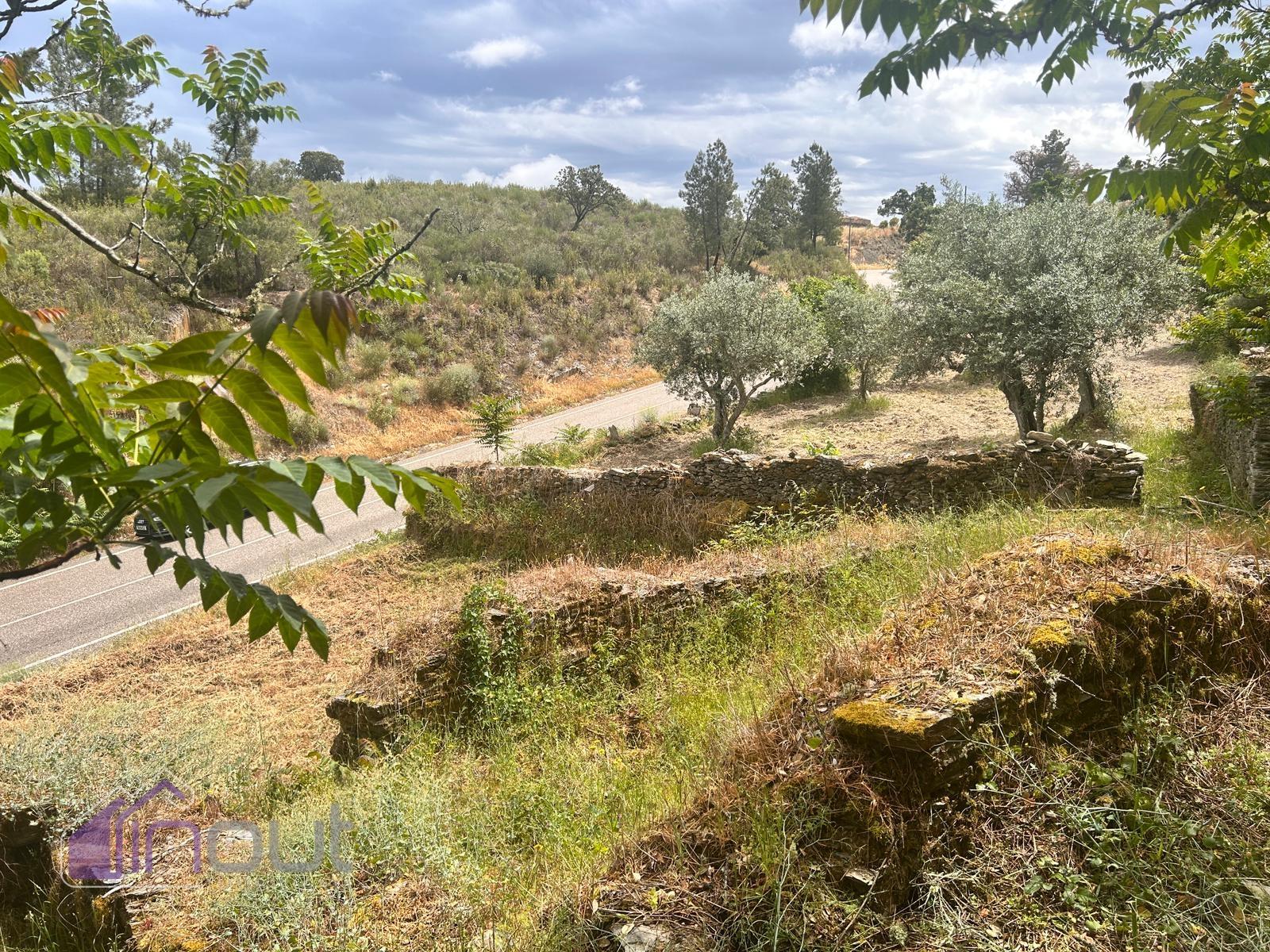 Quinta T1 Venda em Castelo Branco,Castelo Branco