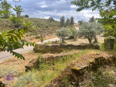 Quinta T1 Venda em Castelo Branco,Castelo Branco