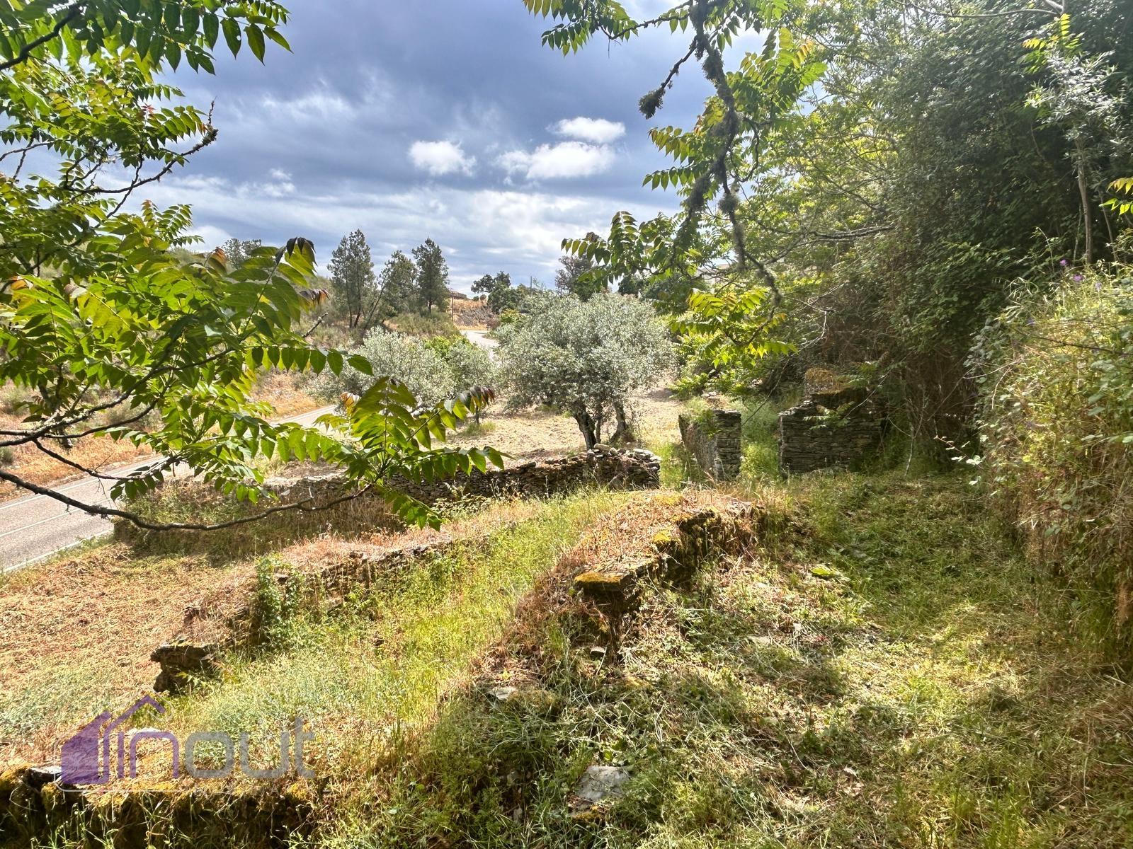 Quinta T1 Venda em Castelo Branco,Castelo Branco