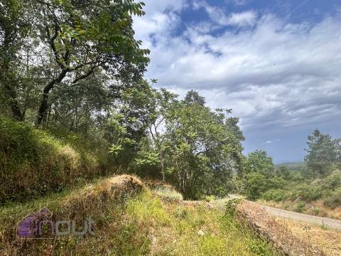Quinta T1 Venda em Castelo Branco,Castelo Branco