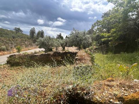 Quinta T1 Venda em Castelo Branco,Castelo Branco