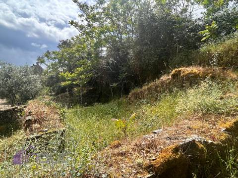 Quinta T1 Venda em Castelo Branco,Castelo Branco