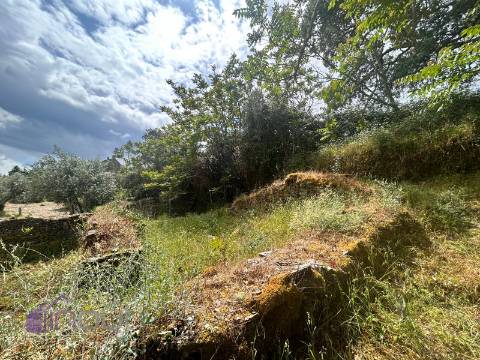 Quinta T1 Venda em Castelo Branco,Castelo Branco