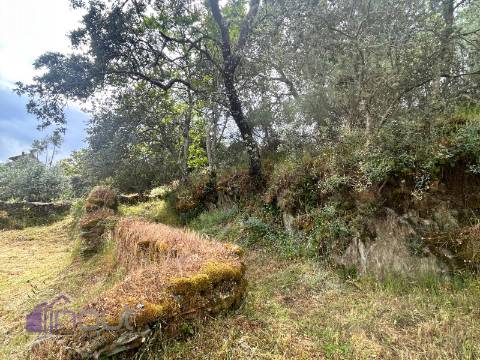 Quinta T1 Venda em Castelo Branco,Castelo Branco