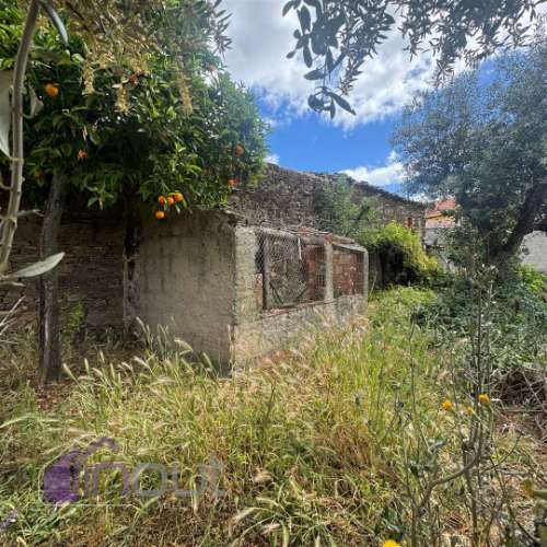 Moradia para Restaurar T5 Venda em Santo André das Tojeiras,Castelo Branco
