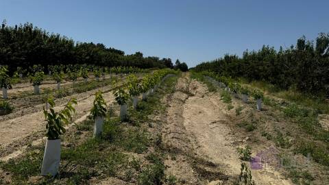 Quinta  Venda em Póvoa de Rio de Moinhos e Cafede,Castelo Branco