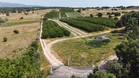 Quinta  Venda em Póvoa de Rio de Moinhos e Cafede,Castelo Branco