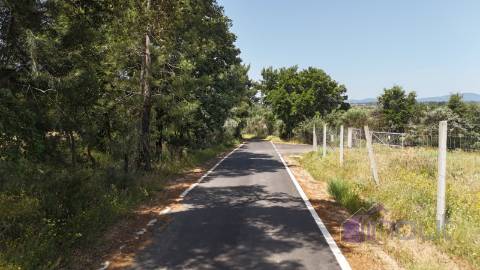Quinta  Venda em Póvoa de Rio de Moinhos e Cafede,Castelo Branco