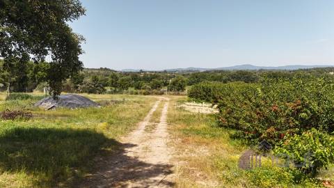 Quinta  Venda em Póvoa de Rio de Moinhos e Cafede,Castelo Branco