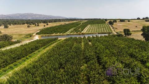 Quinta  Venda em Póvoa de Rio de Moinhos e Cafede,Castelo Branco
