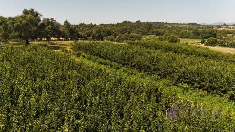 Quinta  Venda em Póvoa de Rio de Moinhos e Cafede,Castelo Branco
