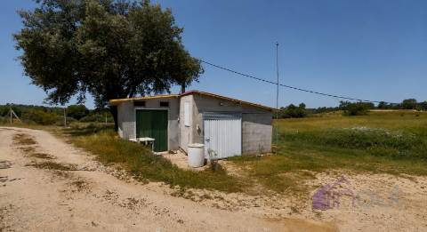 Quinta  Venda em Póvoa de Rio de Moinhos e Cafede,Castelo Branco