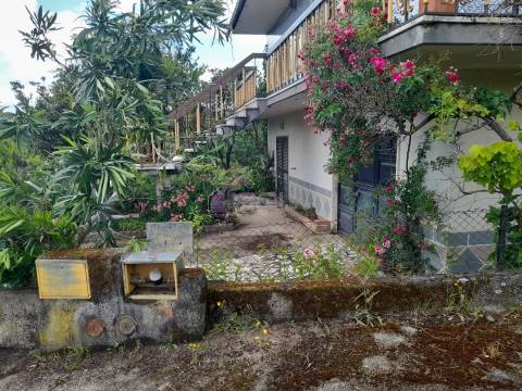 Moradia T4 Venda em Almaceda,Castelo Branco