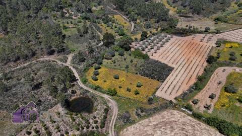 Terreno Rústico  Venda em Sarzedas,Castelo Branco