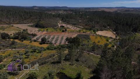 Terreno Rústico  Venda em Sarzedas,Castelo Branco