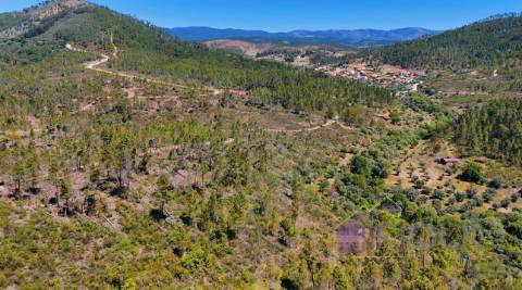 Quinta T2 Venda em Sarzedas,Castelo Branco