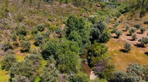 Quinta T2 Venda em Sarzedas,Castelo Branco
