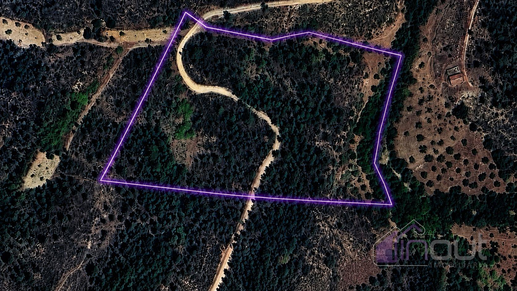 Quinta T2 Venda em Sarzedas,Castelo Branco