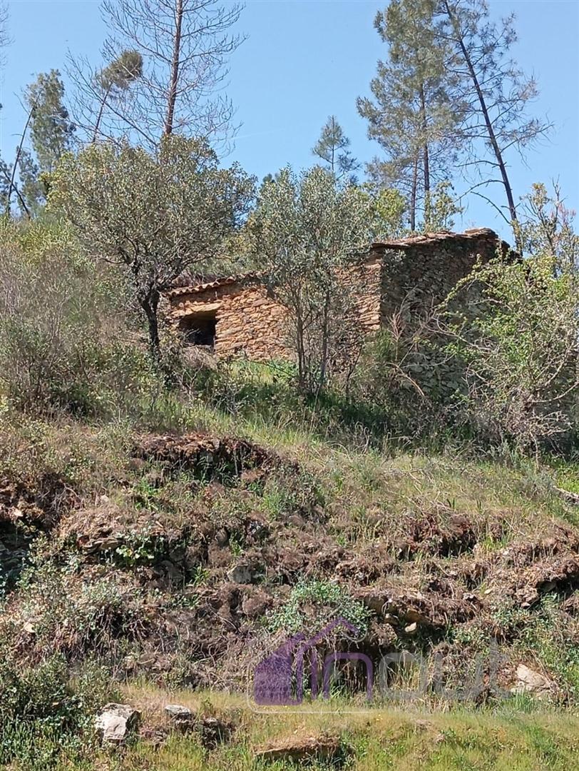 Quinta T2 Venda em Sarzedas,Castelo Branco