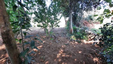Terreno Para Construção  Venda em Castêlo da Maia,Maia
