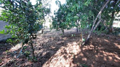 Terreno Para Construção  Venda em Castêlo da Maia,Maia