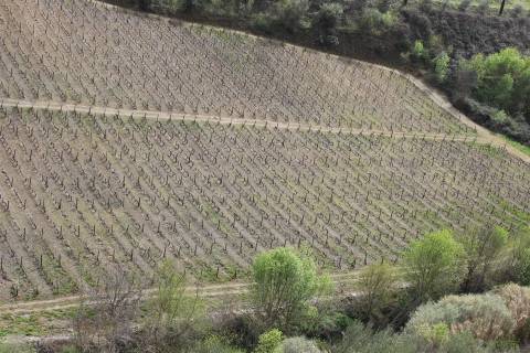 Quinta T4 Venda em Ervedosa do Douro,São João da Pesqueira