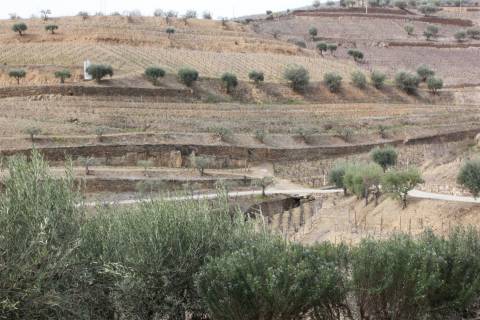 Quinta T4 Venda em Ervedosa do Douro,São João da Pesqueira
