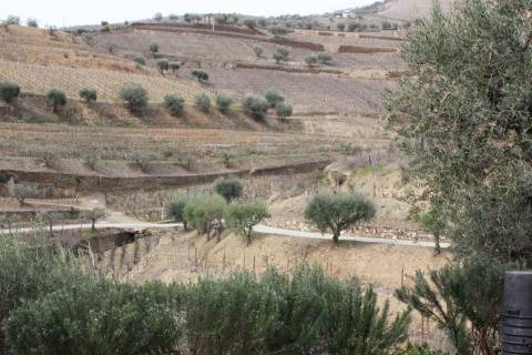 Quinta T4 Venda em Ervedosa do Douro,São João da Pesqueira