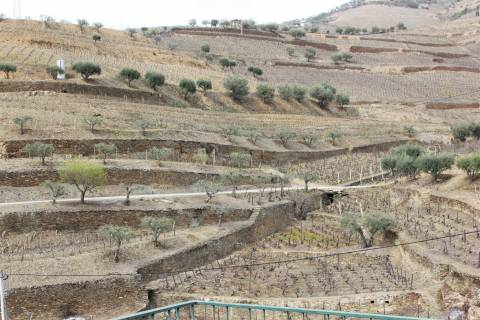 Quinta T4 Venda em Ervedosa do Douro,São João da Pesqueira