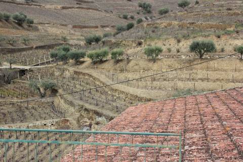 Quinta T4 Venda em Ervedosa do Douro,São João da Pesqueira