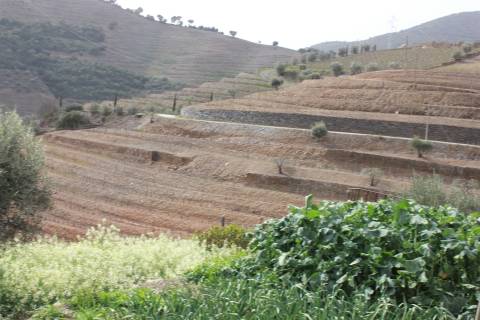 Quinta T4 Venda em Ervedosa do Douro,São João da Pesqueira